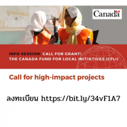 Call for Grant CFLI