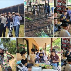 One-day Eco-farming camp