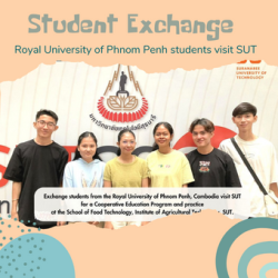 Royal University of Phnom Penh students visit SUT