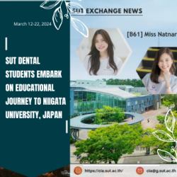 SUT Dental Students Embark on Educational Journey to Niigata University, Japan, March 12-22, 2024